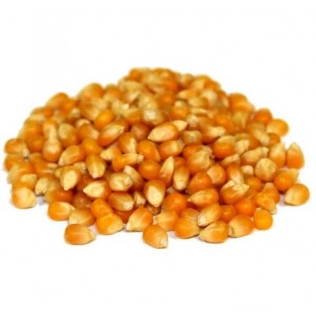 MAÍZ DE COTUFA 500 GR