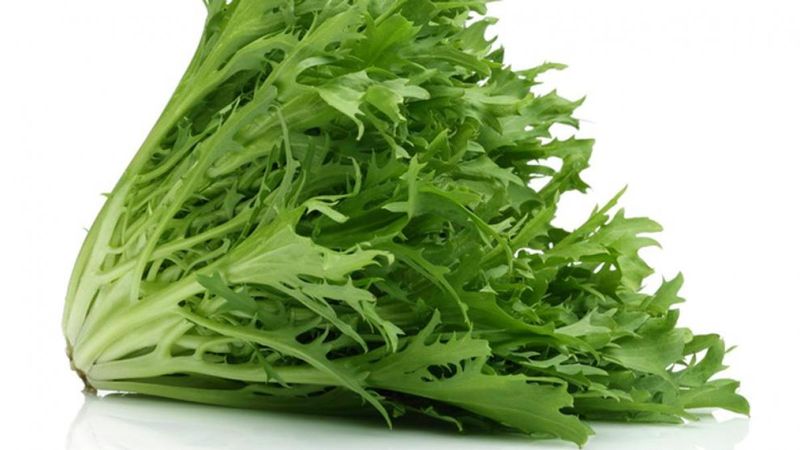 ACHICORIA X 500 GR