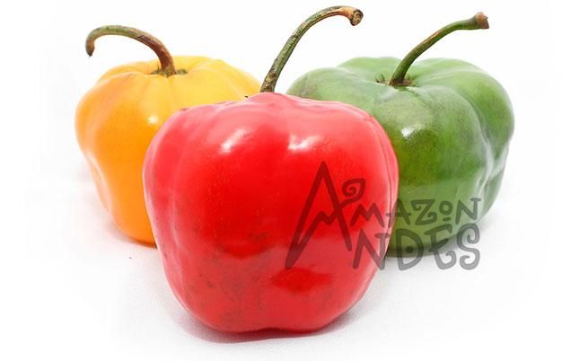 AJI MONGO X 500 GR