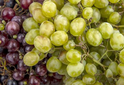 UVAS CRIOLLAS 500GRS