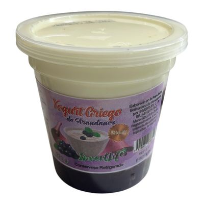 YOGURT GRIEGO INVERTLIFE ARANDANOS 220GR