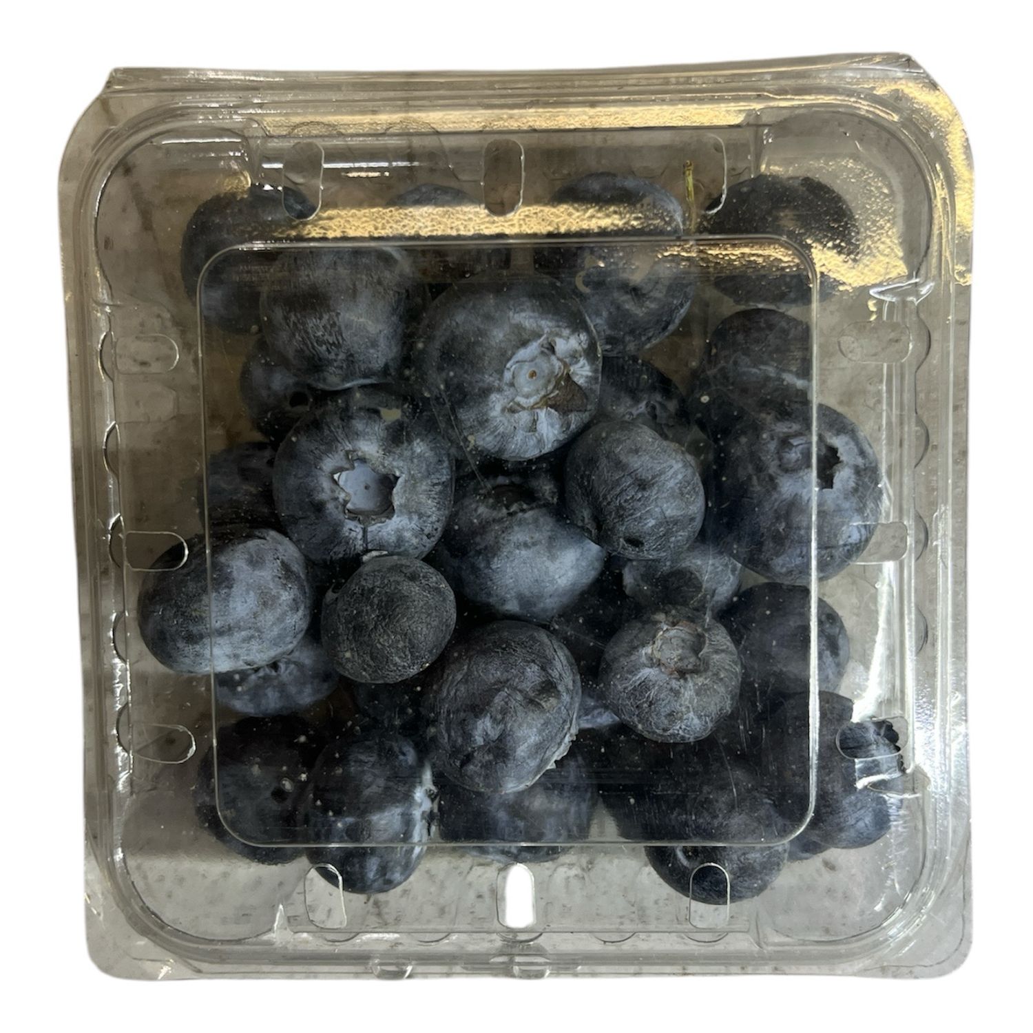 BLUEBERRY x 125GR