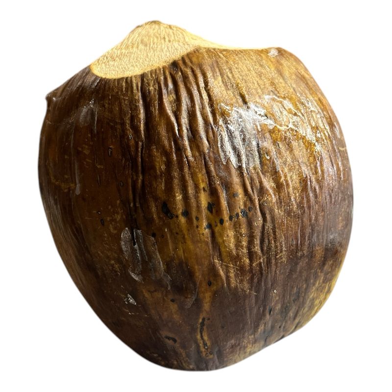 AGUA DE COCO