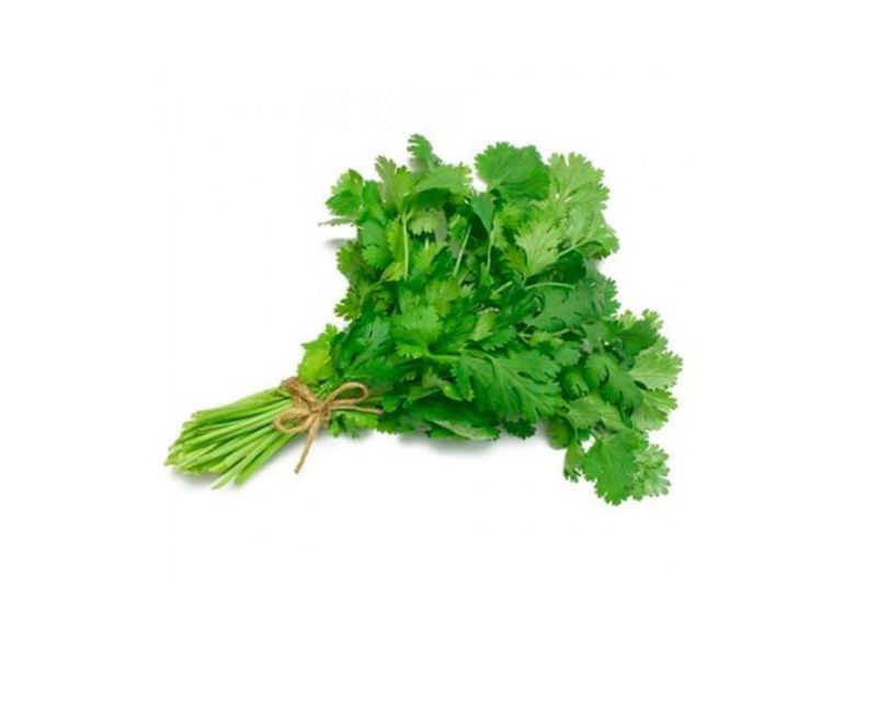 CILANTRO EMPACADO FRESCALES