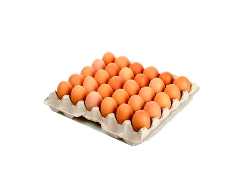 HUEVOS CARTON AA NIVAR