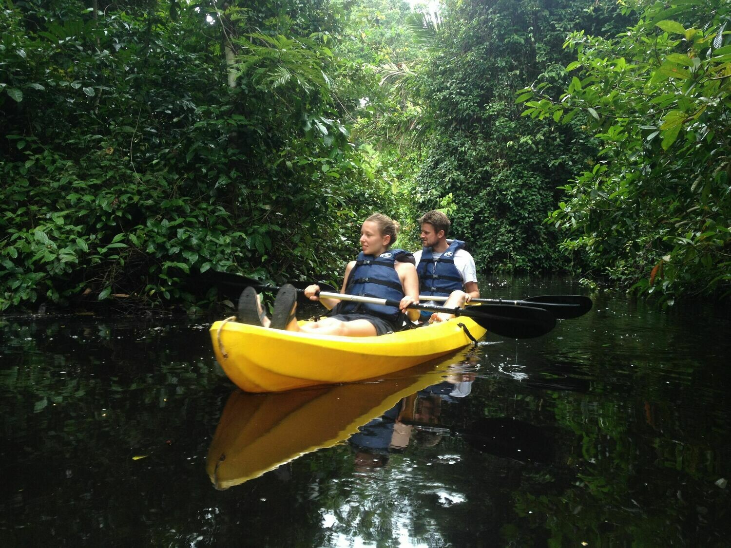 Kayak Adventure &amp; wildlife spotting
