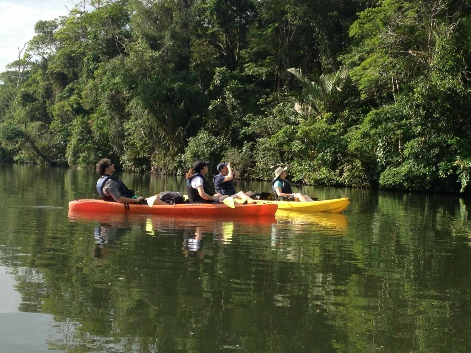 Kayak Adventure &amp; wildlife spotting
