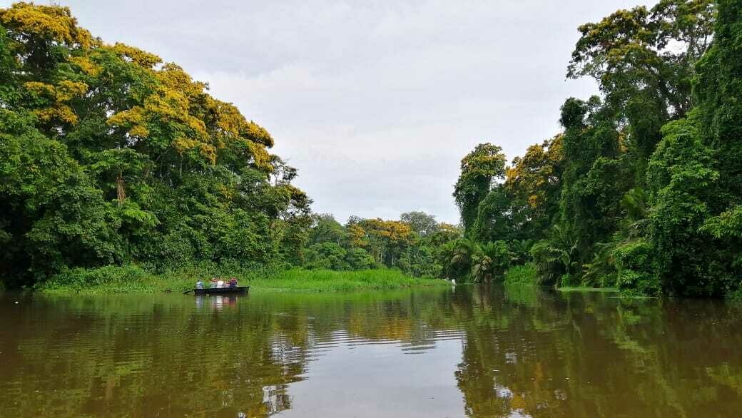 Kayak Adventure &amp; wildlife spotting