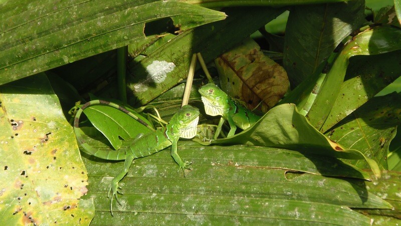 Kayak Adventure &amp; wildlife spotting