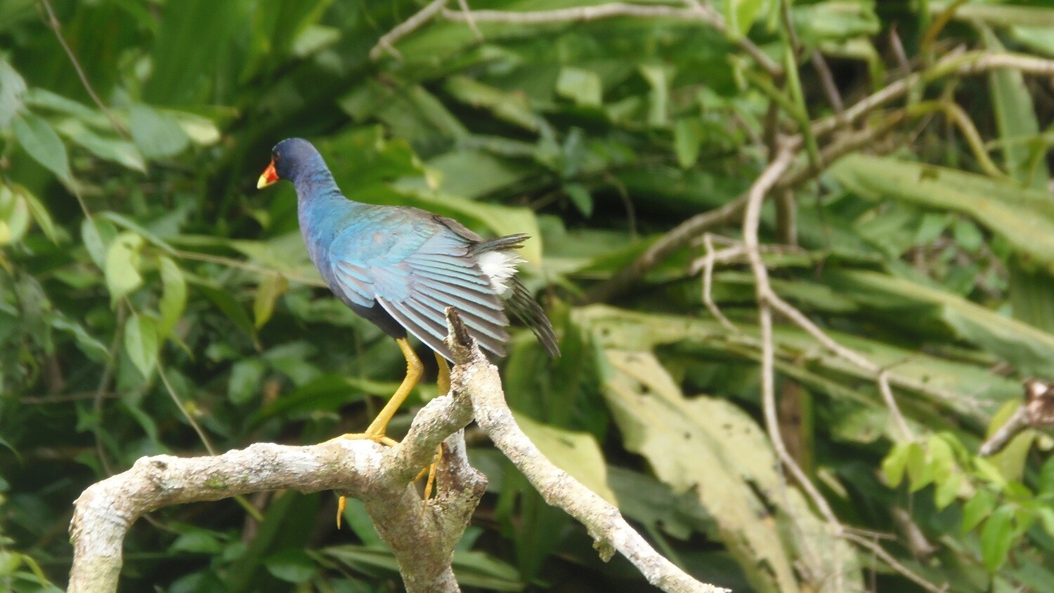 Kayak Adventure &amp; wildlife spotting