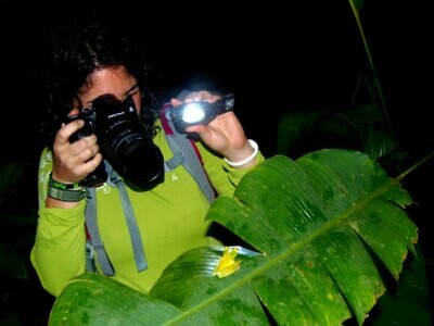 Night walk &amp; wildlife spotting