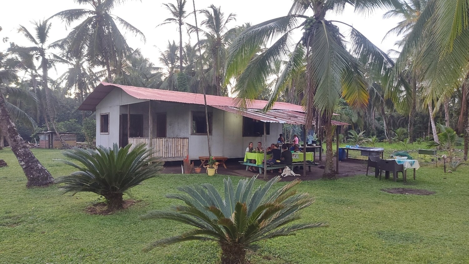 Caño Palma &amp; Laguna 4 +  live the farm experience.