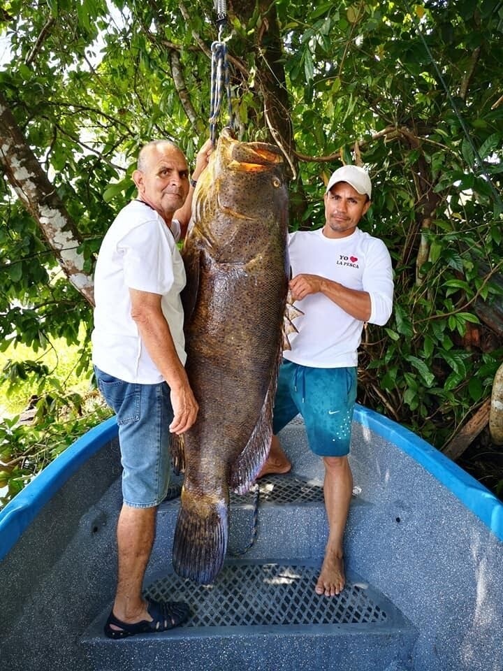Sport fishing Adventure