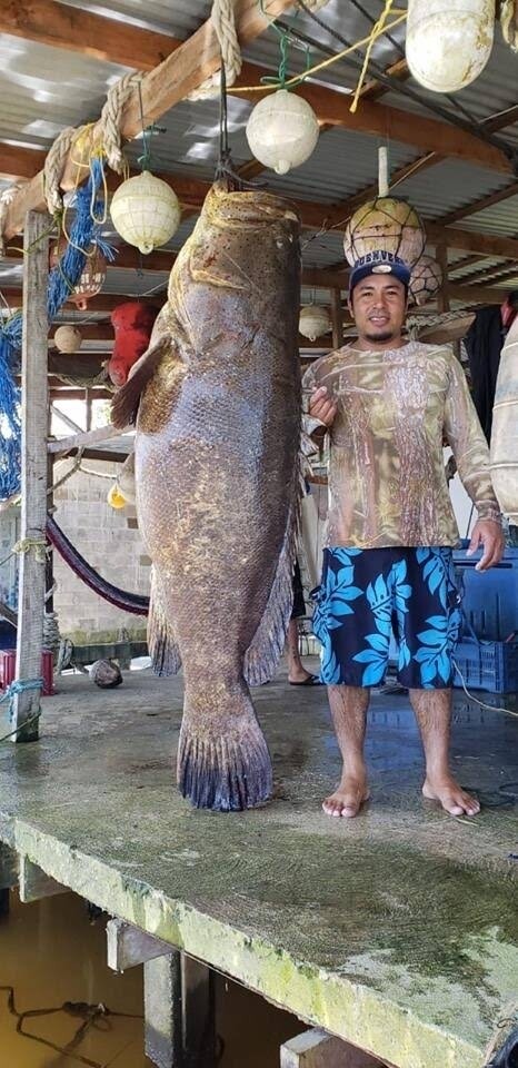 Sport fishing Adventure