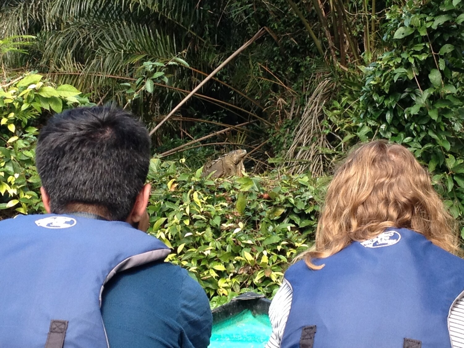 Canoe Canals tour &amp; wildilfe spotting