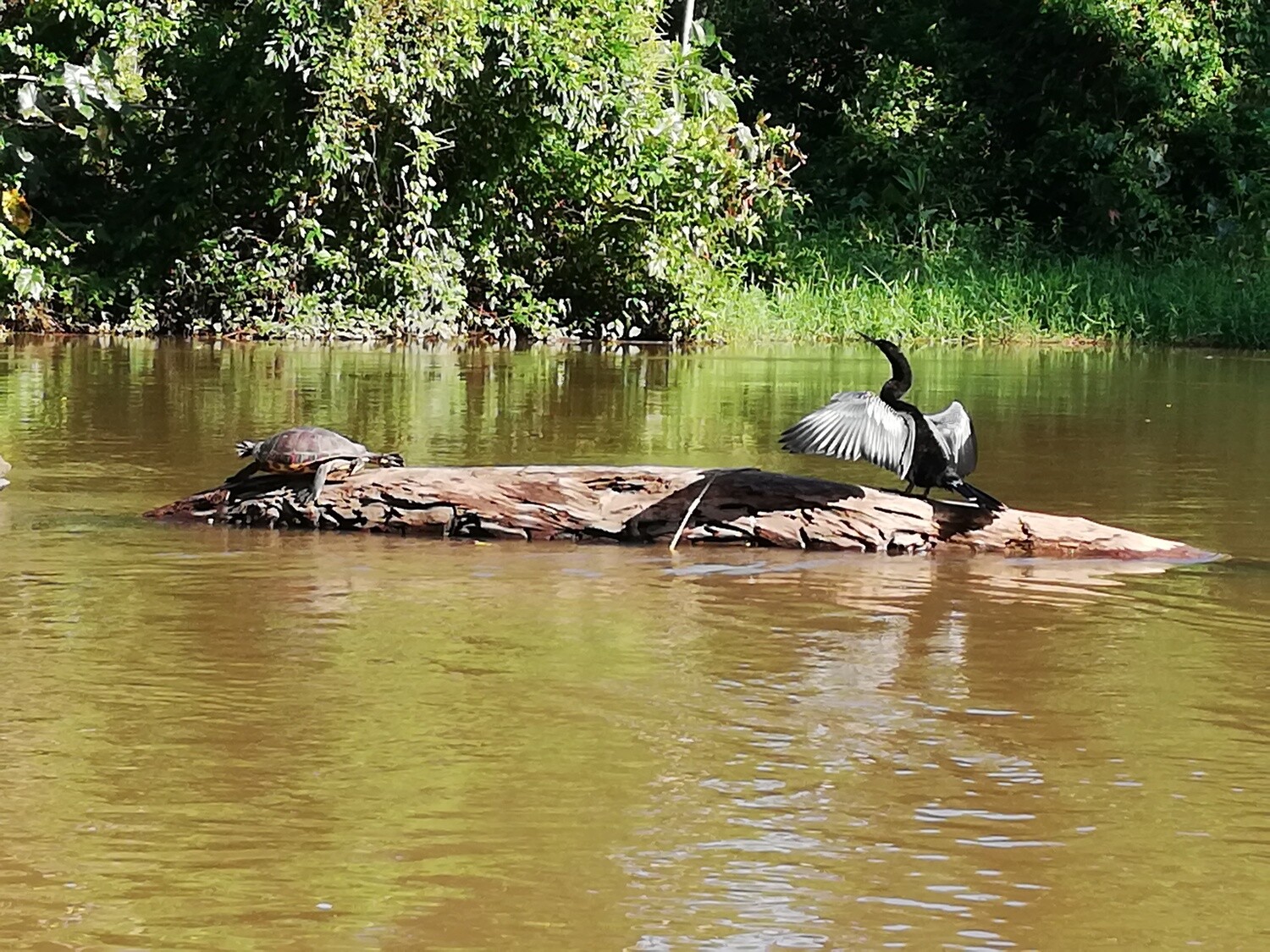 Canoe Canals tour &amp; wildilfe spotting