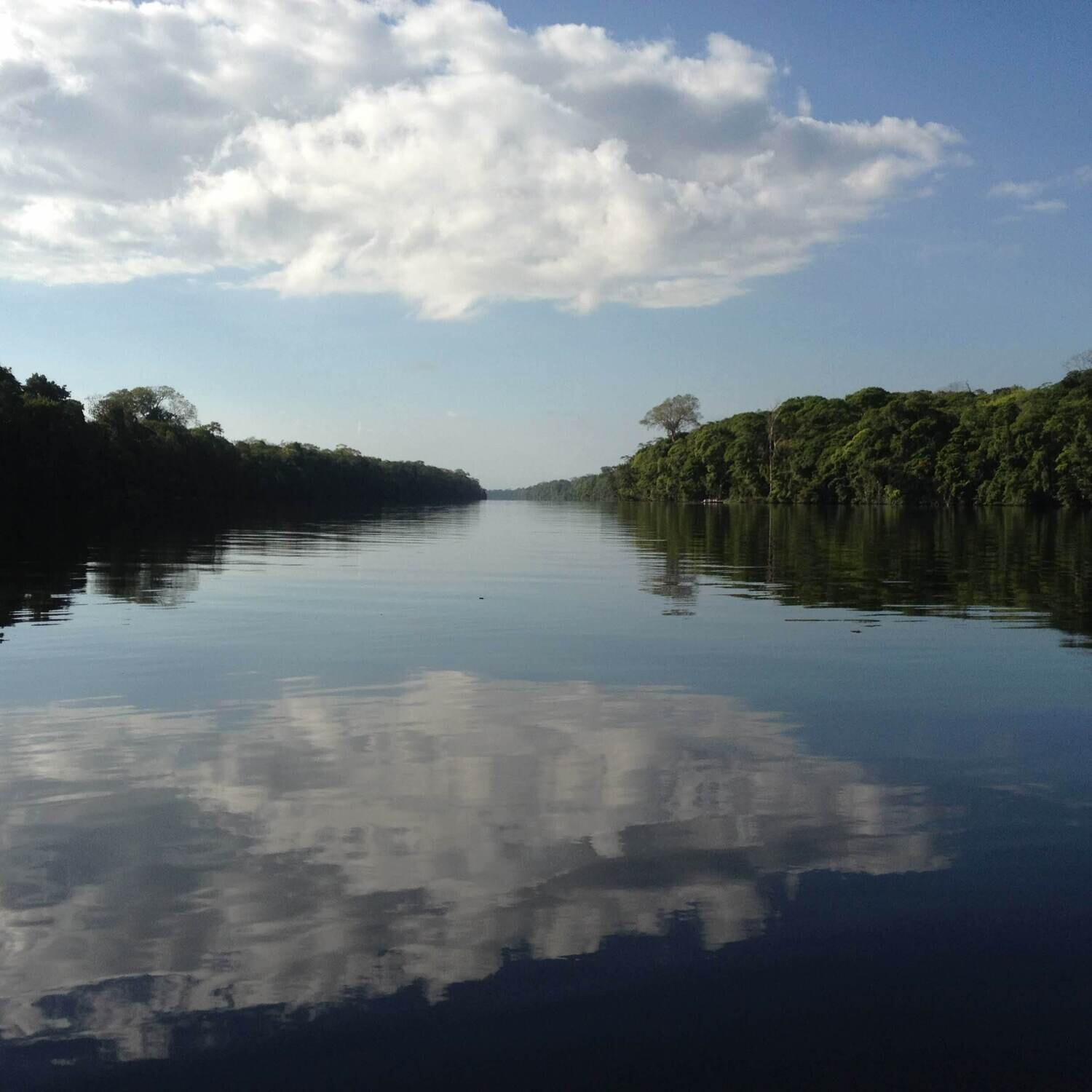 Canoe Canals tour &amp; wildilfe spotting