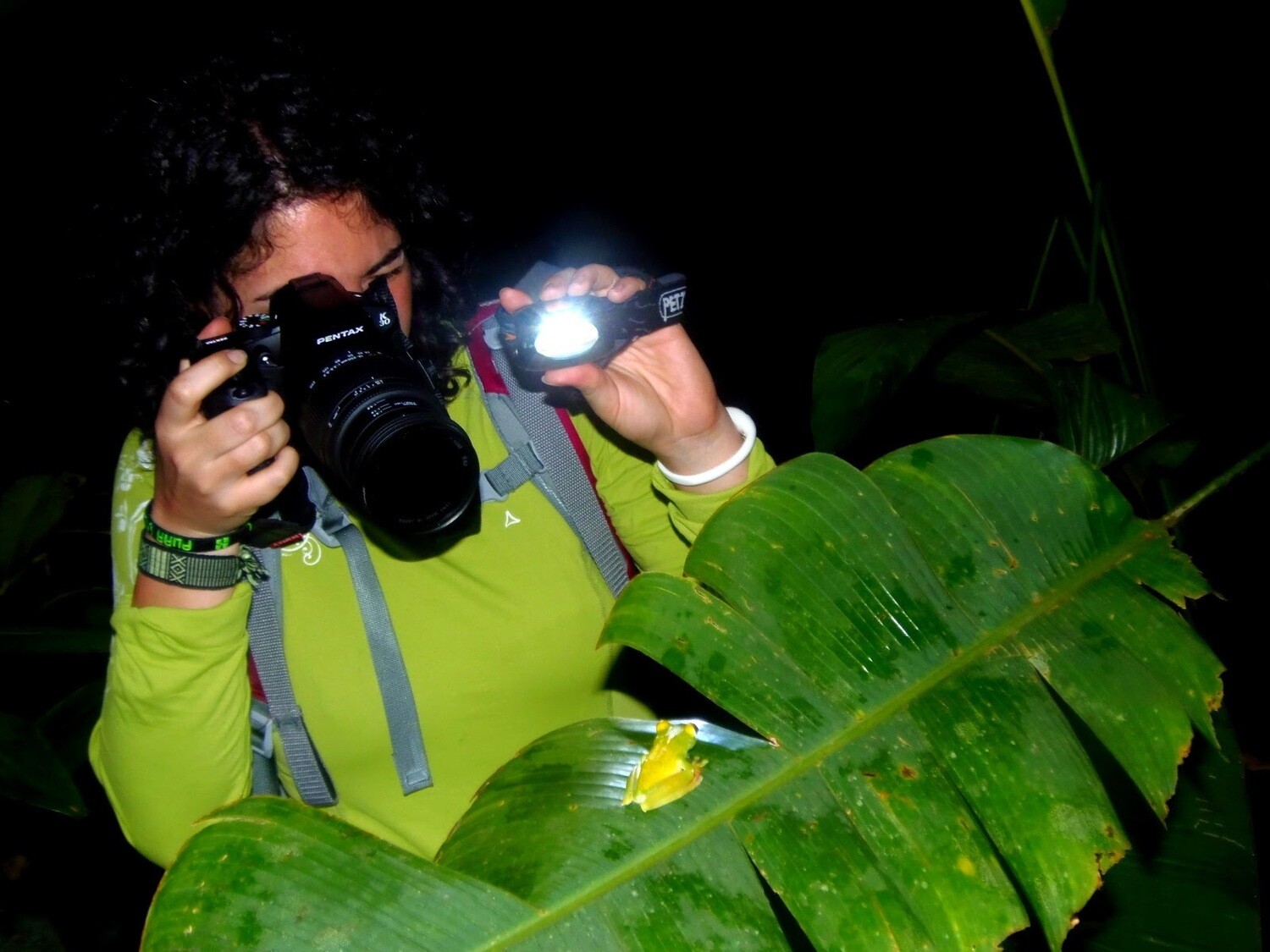 2 Tours  Deal Package : Canoe tour + Nature walk or Turtle tour or Night walk (when no turtles)