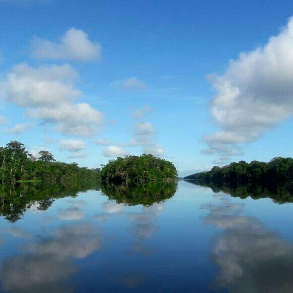 2 Tours  Deal Package : Canoe tour + Nature walk or Turtle tour or Night walk (when no turtles)