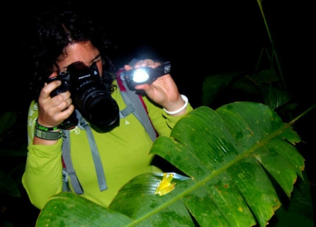 special program for Luc Vanhamme