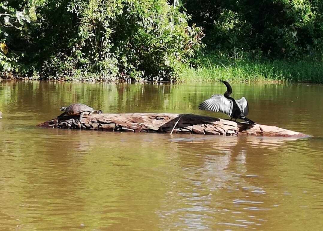 Programa  personalizado Shirley Daiana 