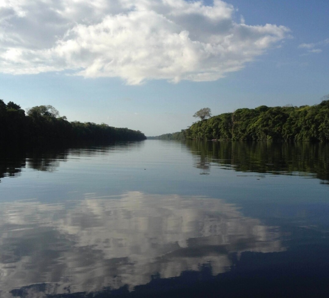 Programa  personalizado Shirley Daiana 