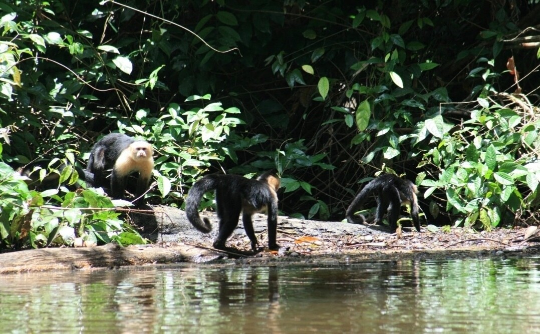 Programa  personalizado Shirley Daiana 
