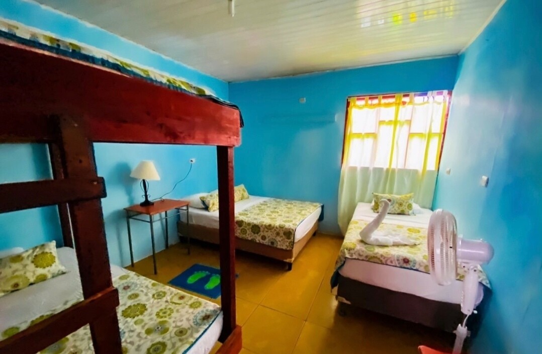 Programa  personalizado Shirley Daiana 