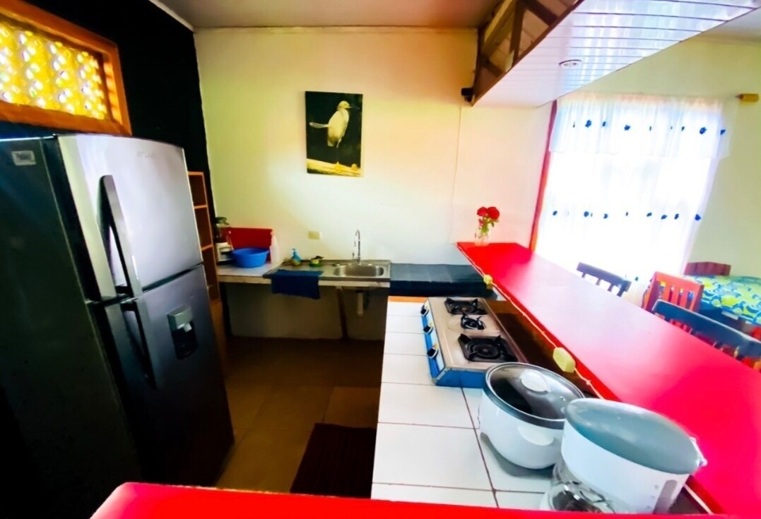 Programa  personalizado Shirley Daiana 