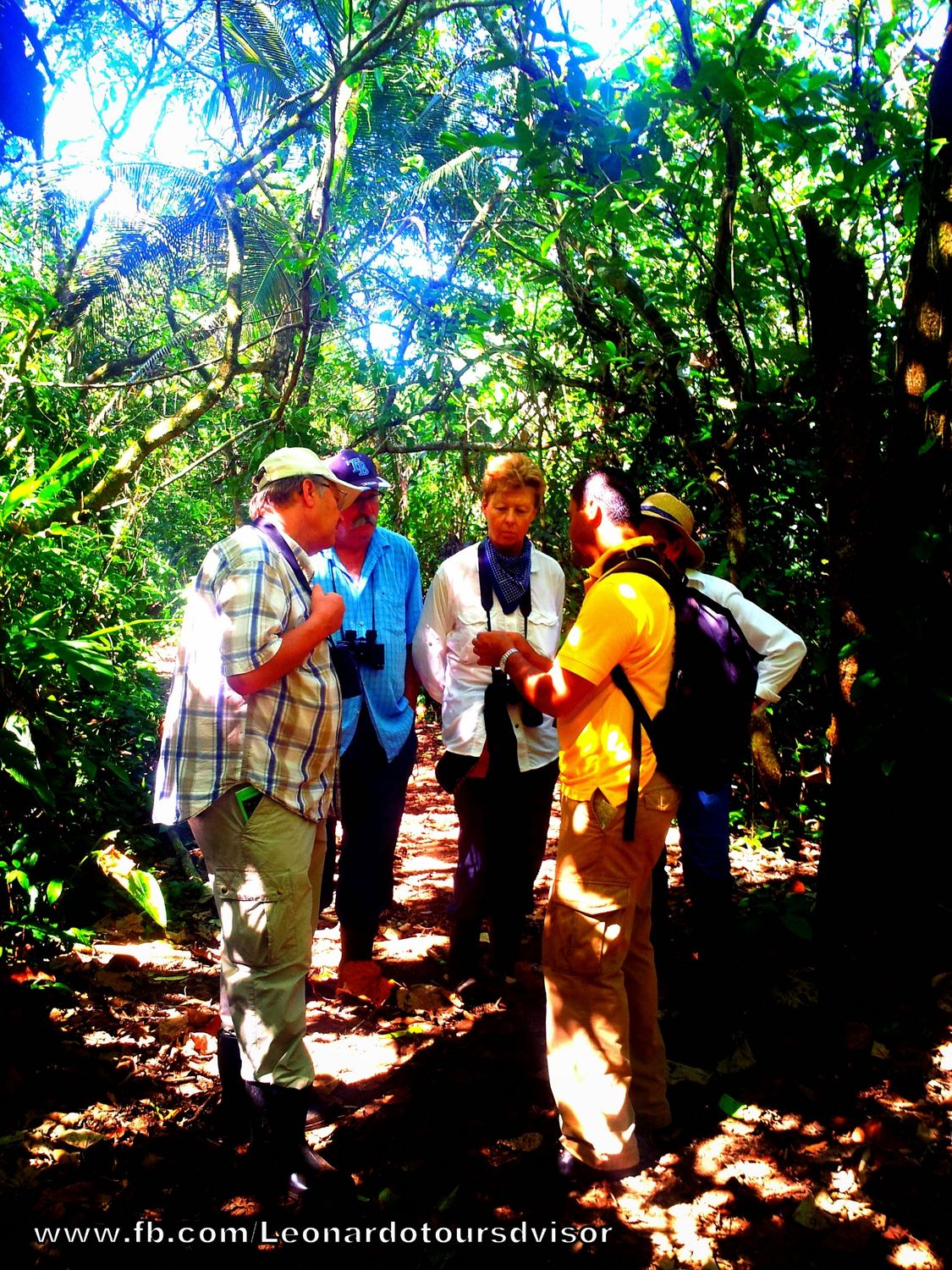 Special program for Tammy Roe 