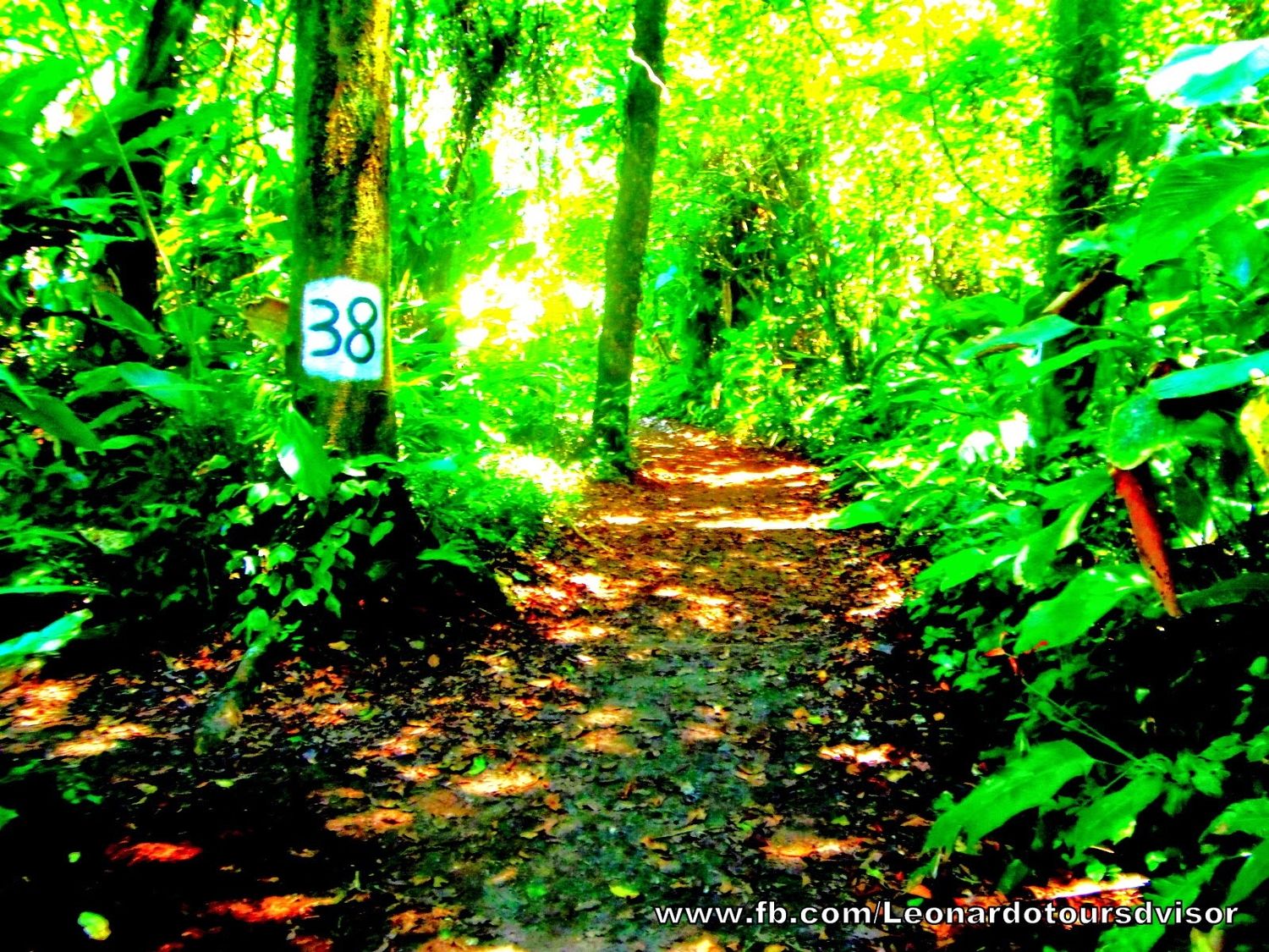 Special program for Tammy Roe 