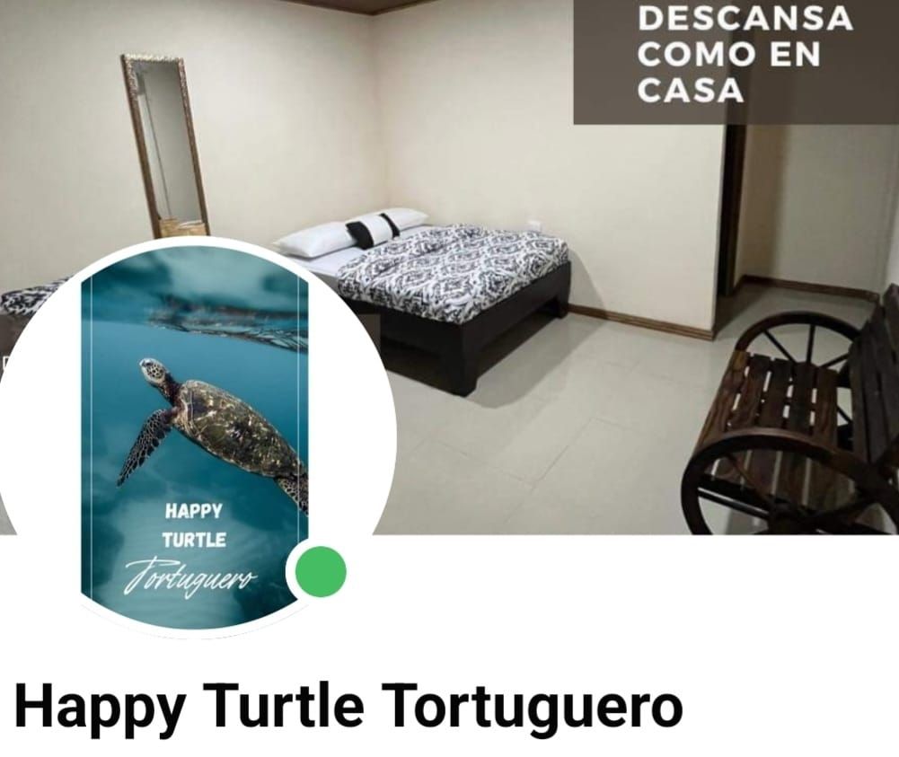 Hotel Happy turtle