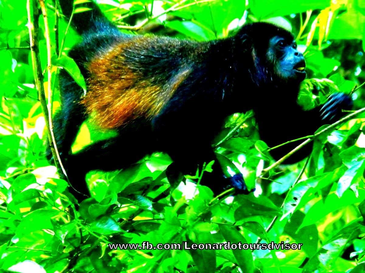 Taylor made program for Edwin Prijs friends 