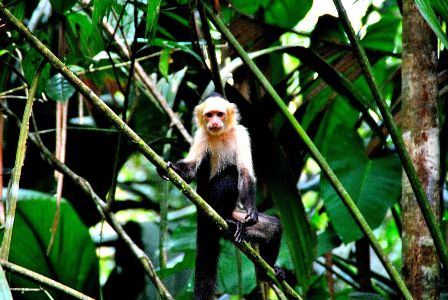 Taylor made program for Edwin Prijs friends 