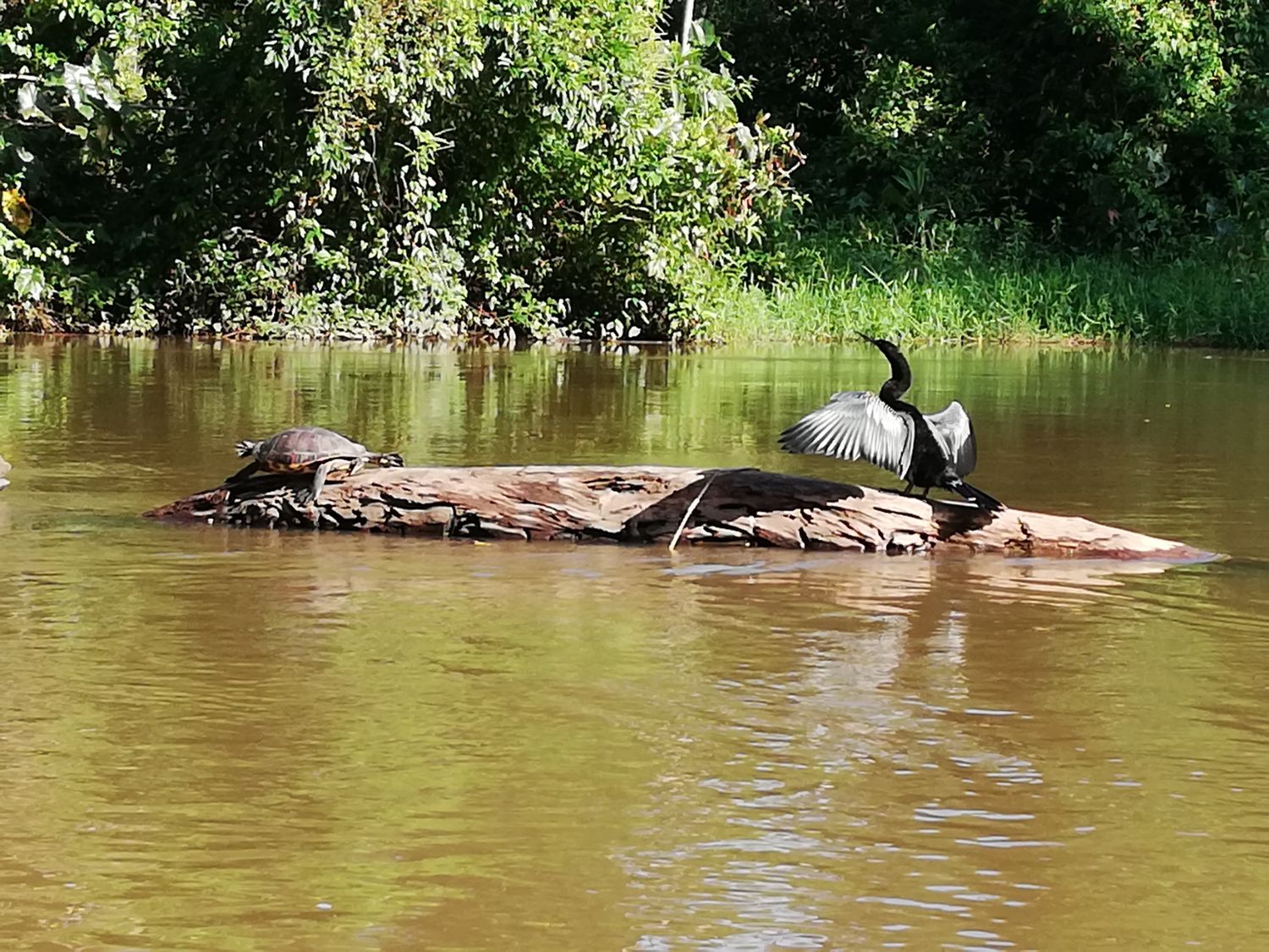 Taylor made program for Edwin Prijs friends 