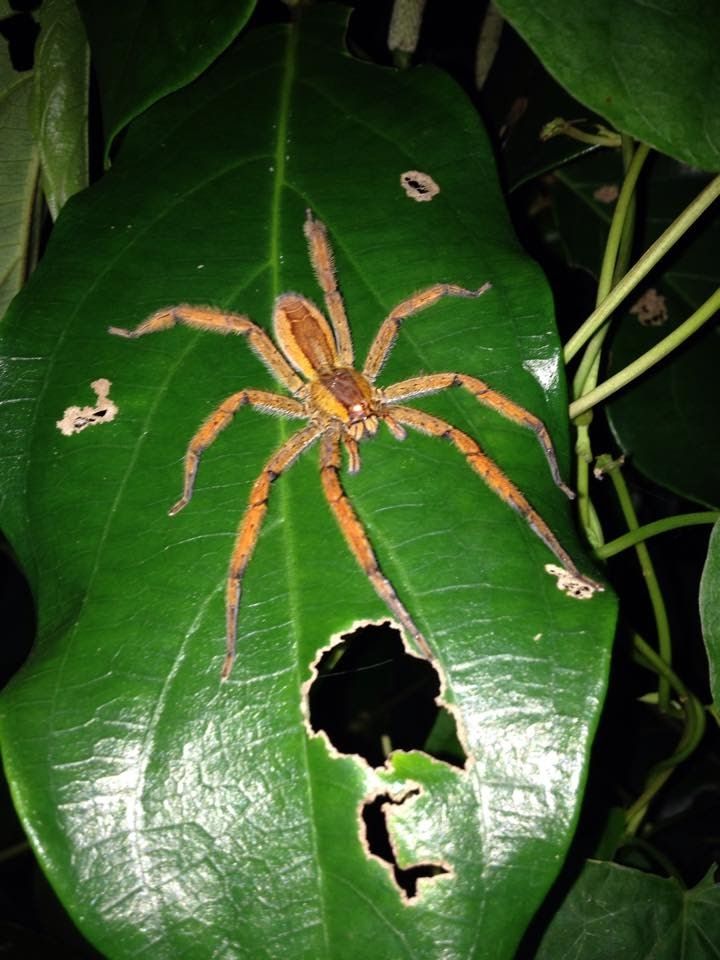 Taylor made program for Edwin Prijs friends 