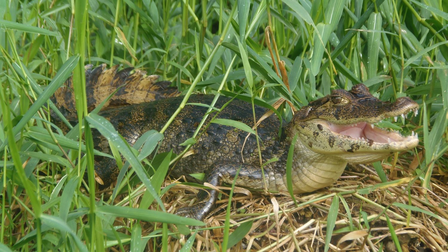 Taylor made program for Edwin Prijs friends 