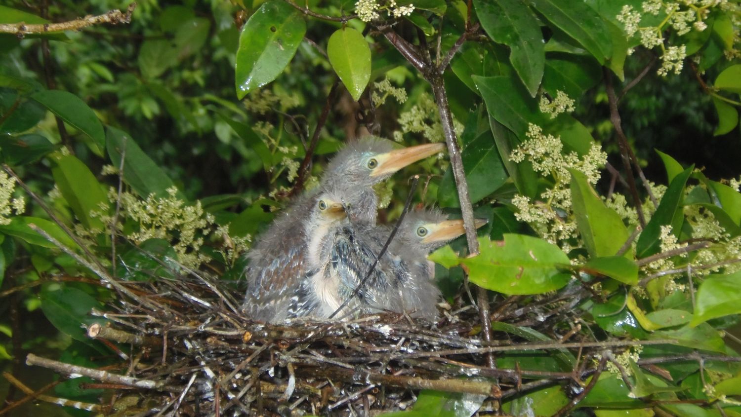 Taylor made program for Edwin Prijs friends 