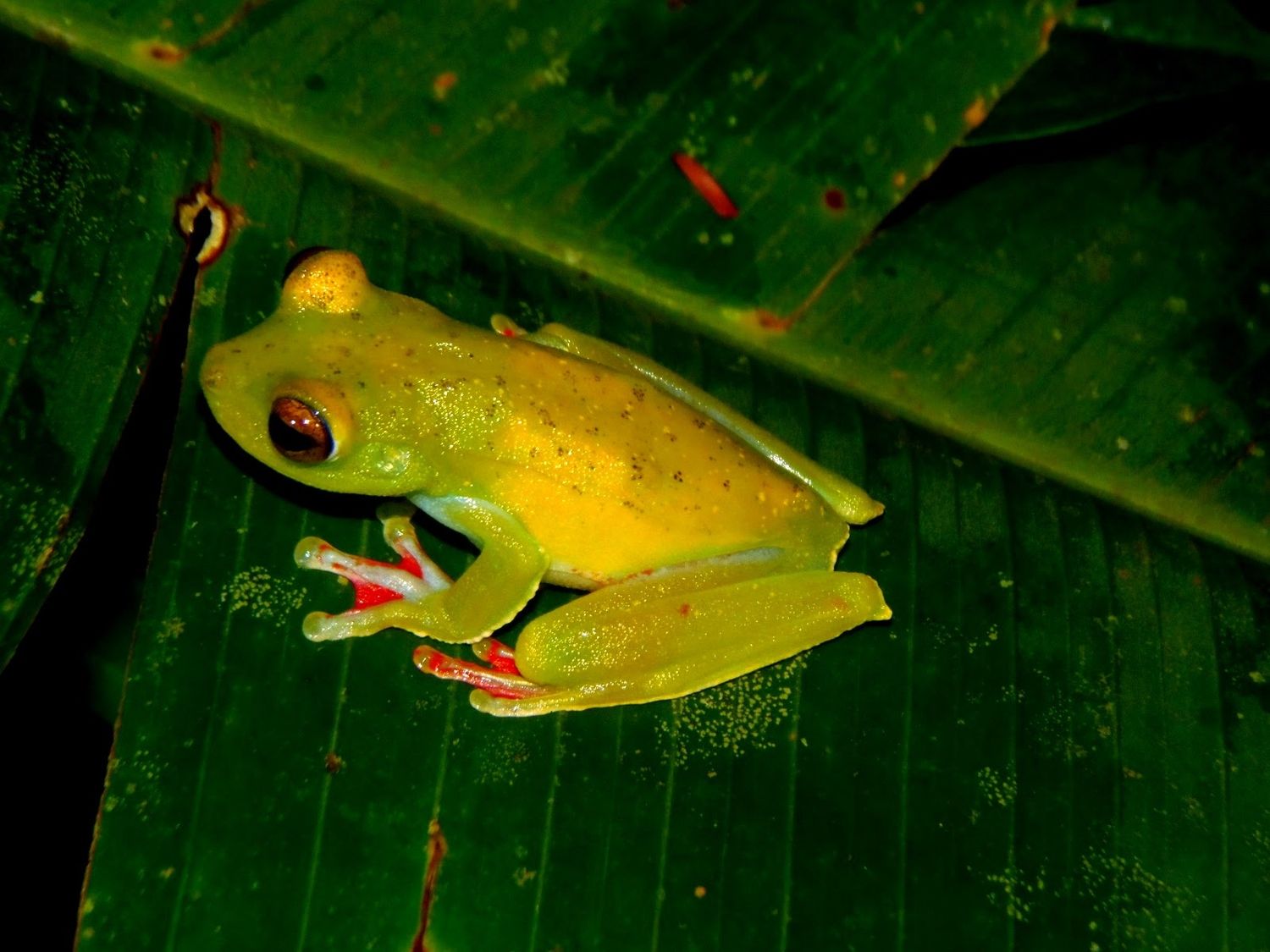 Taylor made program for Edwin Prijs friends 