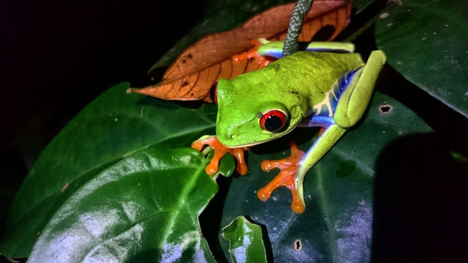 Taylor made program for Edwin Prijs friends 