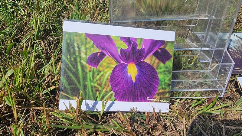 Original Photography Postcards