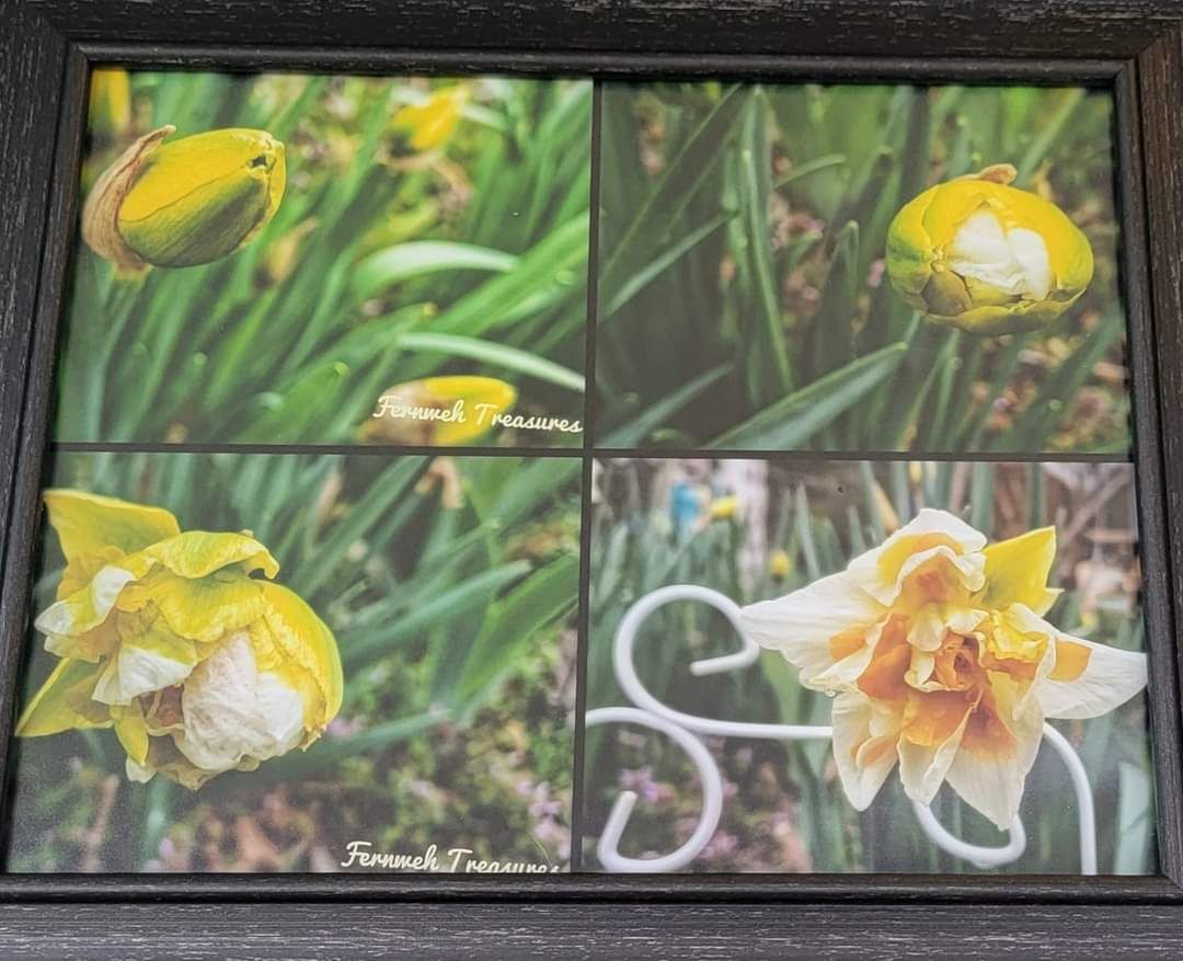 Replete Narcissus