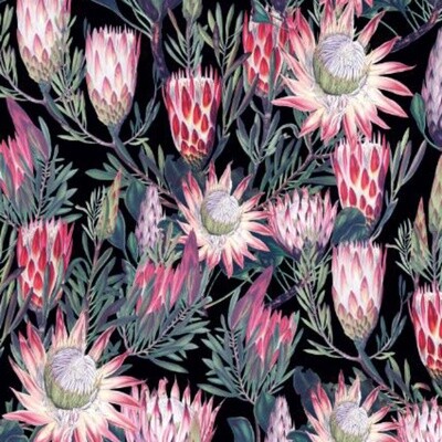 Digitally printed, soft &amp; durable plush Velvet fabric 290gsm - Protea Flowers - Black