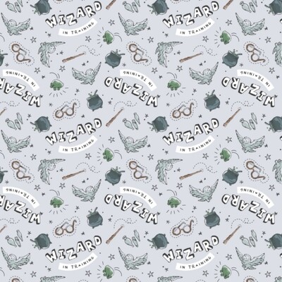 Harry Potter - Wizard in Training - 100% cotton print fabric