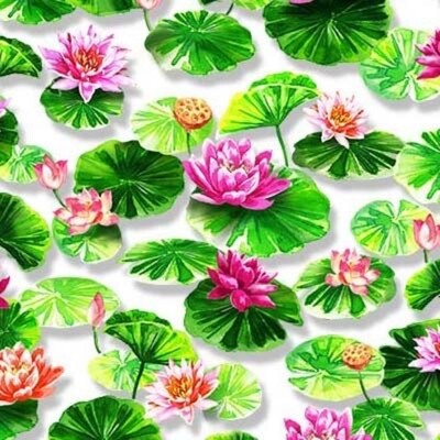 Michael Miller Fabric - Water Lotus - 100% Cotton Fabric