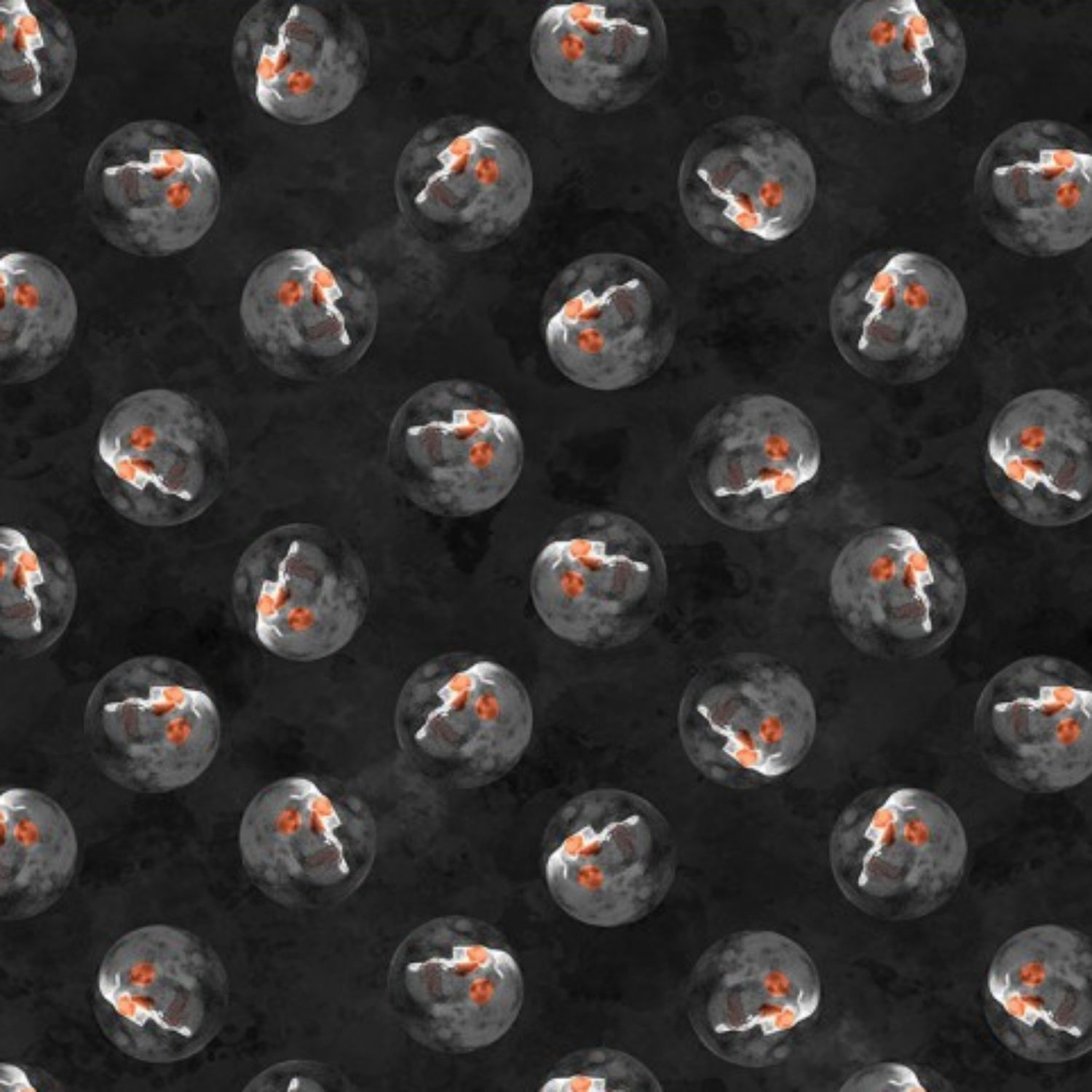 Full Moon (Halloween) - 100% cotton print fabric