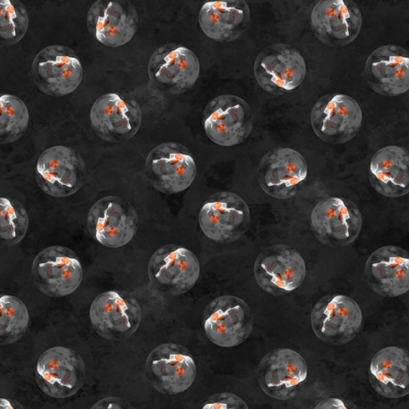 Full Moon (Halloween) - 100% cotton print fabric