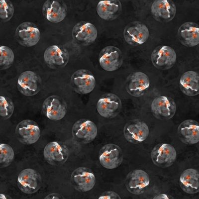 Full Moon (Halloween) - 100% cotton print fabric