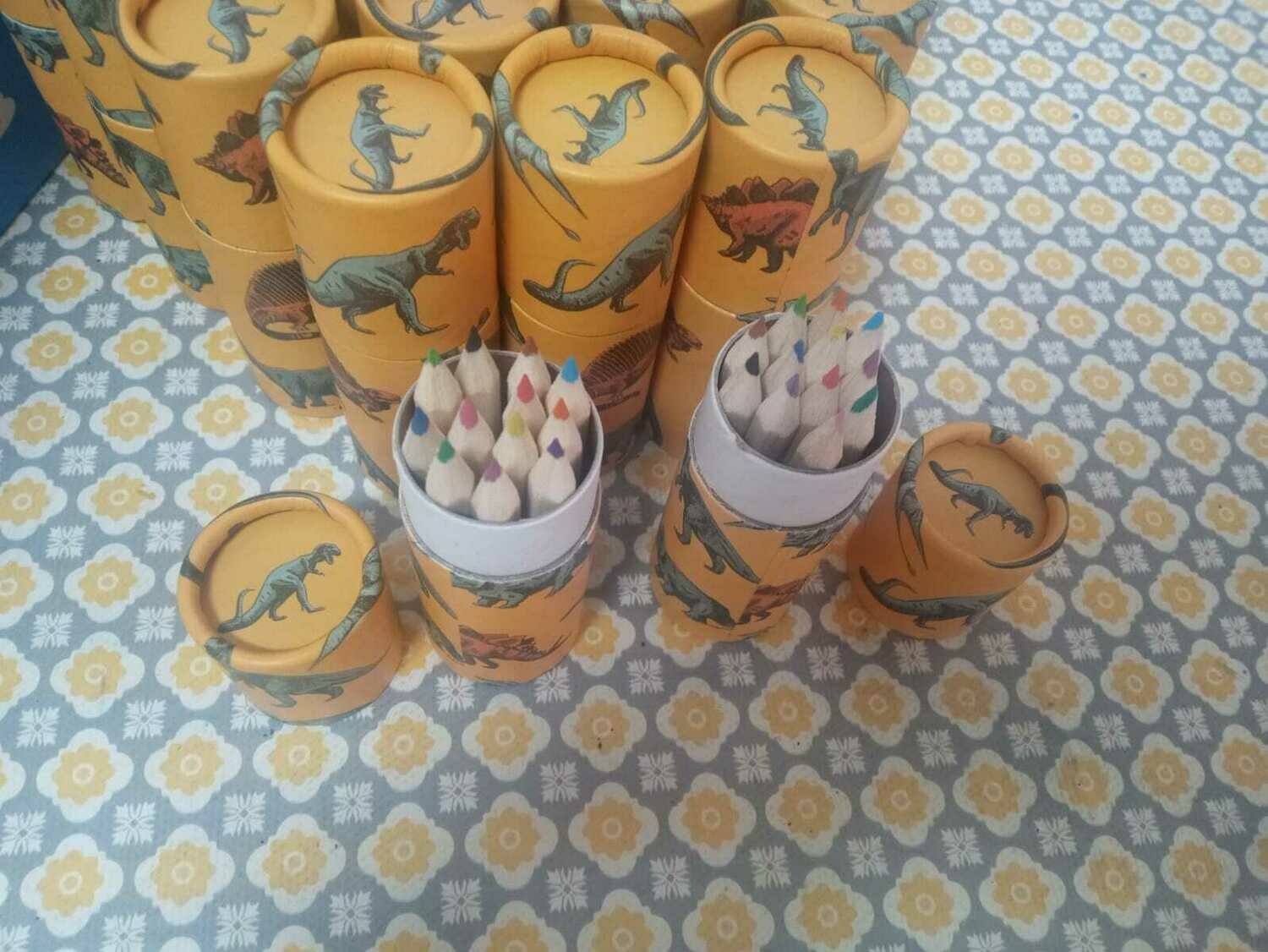 Dinosaur Colouring Pencils
