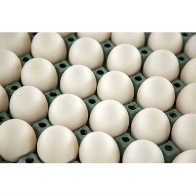 Huevo extra blanco  30 unidades